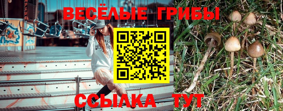 Якутск  Галлюциногенные грибы Magic Shrooms  продажа наркотиков  Вход с VPN 